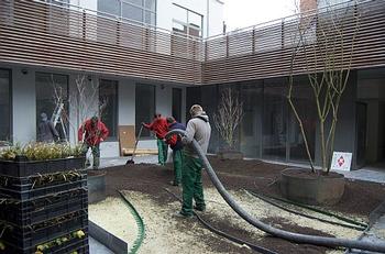 Een binnentuin met lage beplanting voor een groen gevoel tussen vier muren
