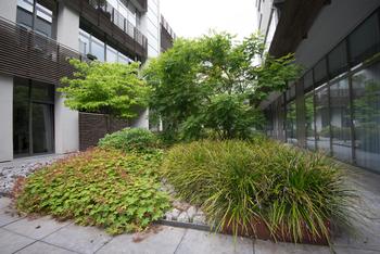 Een binnentuin met lage beplanting voor een groen gevoel tussen vier muren